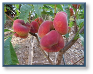 Klicken zum vergrößern.