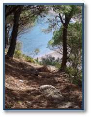 Klicken zum vergrößern.